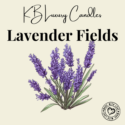 Lavender Fields